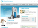 Business Flash template